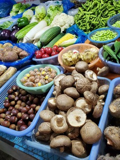 Filename=20190914_150932.jpg
Filesize=3295KiB
Dimensions=3024x4032
Date added=Oct 05, 2019 20190914_150932.jpg