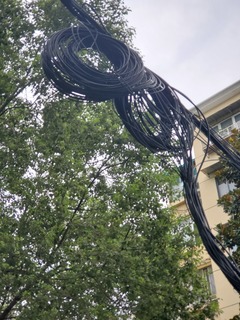 Filename=20190914_154132.jpg
Filesize=2266KiB
Dimensions=3024x4032
Date added=Oct 05, 2019 20190914_154132.jpg