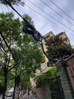 Filename=20190914_154135.jpg
Filesize=3508KiB
Dimensions=3456x4608
Date added=Oct 05, 2019 20190914_154135.jpg