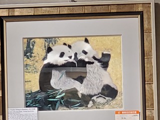 Filename=20190917_111219.jpg
Filesize=1691KiB
Dimensions=4032x3024
Date added=Oct 05, 2019 20190917_111219.jpg