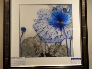 Filename=20190917_111903.jpg
Filesize=2672KiB
Dimensions=4032x3024
Date added=Oct 05, 2019 20190917_111903.jpg