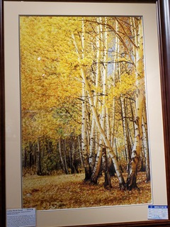 Filename=20190917_112143.jpg
Filesize=3576KiB
Dimensions=3024x4032
Date added=Oct 05, 2019 20190917_112143.jpg