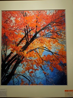 Filename=20190917_112152.jpg
Filesize=2947KiB
Dimensions=3024x4032
Date added=Oct 05, 2019 20190917_112152.jpg