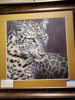 Filename=20190917_112254.jpg
Filesize=2504KiB
Dimensions=3024x4032
Date added=Oct 05, 2019 20190917_112254.jpg