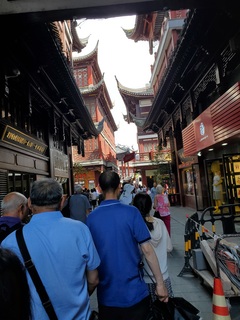 Filename=20190917_122416.jpg
Filesize=2721KiB
Dimensions=3024x4032
Date added=Oct 05, 2019 20190917_122416.jpg