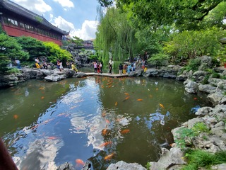 Filename=20190917_124739.jpg
Filesize=4976KiB
Dimensions=4608x3456
Date added=Oct 05, 2019 20190917_124739.jpg