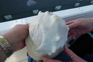 Filename=P1110502.JPG
Filesize=4048KiB
Dimensions=4000x2672
Date added=Feb 03, 2022 P1110502.JPG