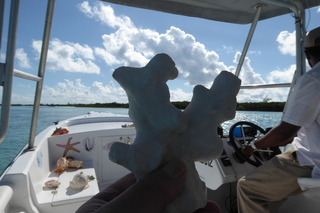 Filename=P1110506.JPG
Filesize=3928KiB
Dimensions=4000x2672
Date added=Feb 03, 2022 P1110506.JPG