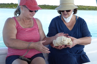 Filename=P1110515.JPG
Filesize=4340KiB
Dimensions=4000x2672
Date added=Feb 03, 2022 P1110515.JPG