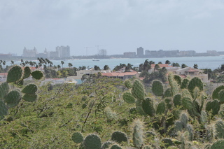 Filename=P1110534.JPG
Filesize=4345KiB
Dimensions=4000x2672
Date added=Feb 03, 2022 P1110534.JPG