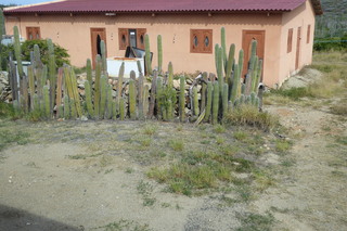 Filename=P1110556.JPG
Filesize=4498KiB
Dimensions=4000x2672
Date added=Feb 03, 2022 P1110556.JPG