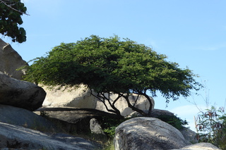 Filename=P1110572.JPG
Filesize=4659KiB
Dimensions=4000x2672
Date added=Feb 03, 2022 P1110572.JPG