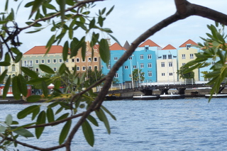 Filename=P1110595.JPG
Filesize=4294KiB
Dimensions=4000x2672
Date added=Feb 03, 2022 P1110595.JPG