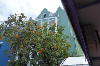 Filename=P1110596.JPG
Filesize=4419KiB
Dimensions=4000x2672
Date added=Feb 03, 2022 P1110596.JPG