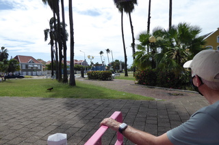 Filename=P1110645.JPG
Filesize=4718KiB
Dimensions=4000x2672
Date added=Feb 03, 2022 P1110645.JPG