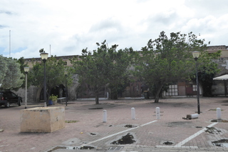 Filename=P1110688.JPG
Filesize=4434KiB
Dimensions=4000x2672
Date added=Feb 03, 2022 P1110688.JPG