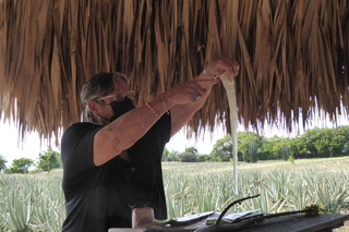 Filename=P1110697.JPG
Filesize=4485KiB
Dimensions=4000x2672
Date added=Feb 03, 2022 P1110697.JPG