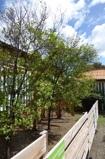 Filename=P1110701.JPG
Filesize=3619KiB
Dimensions=2672x4000
Date added=Feb 03, 2022 P1110701.JPG