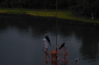 Filename=P1110727.JPG
Filesize=4462KiB
Dimensions=4000x2672
Date added=Feb 03, 2022 P1110727.JPG