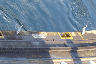 Filename=P1110745.JPG
Filesize=4339KiB
Dimensions=4000x2672
Date added=Feb 03, 2022 P1110745.JPG