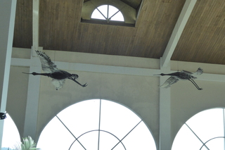 Filename=P1110761.JPG
Filesize=3593KiB
Dimensions=4000x2672
Date added=Feb 03, 2022 P1110761.JPG