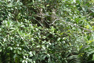 Filename=P1110768.JPG
Filesize=4281KiB
Dimensions=4000x2672
Date added=Feb 03, 2022 P1110768.JPG