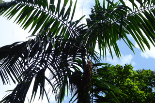 Filename=P1110776.JPG
Filesize=4737KiB
Dimensions=4000x2672
Date added=Feb 03, 2022 P1110776.JPG