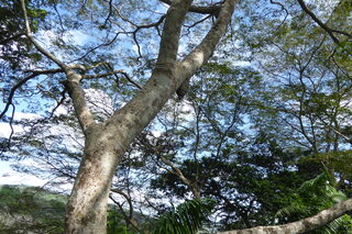 Filename=P1110778.JPG
Filesize=4590KiB
Dimensions=4000x2672
Date added=Feb 03, 2022 P1110778.JPG