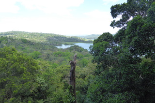 Filename=P1110779.JPG
Filesize=4722KiB
Dimensions=4000x2672
Date added=Feb 03, 2022 P1110779.JPG