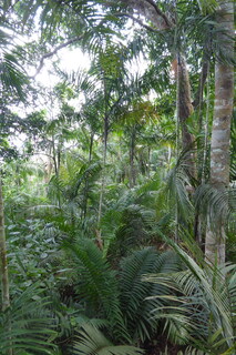 Filename=P1110784.JPG
Filesize=3512KiB
Dimensions=2672x4000
Date added=Feb 03, 2022 P1110784.JPG