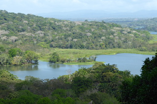 Filename=P1110789.JPG
Filesize=4078KiB
Dimensions=4000x2672
Date added=Feb 03, 2022 P1110789.JPG