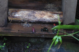 Filename=P1110796.JPG
Filesize=4303KiB
Dimensions=4000x2672
Date added=Feb 03, 2022 P1110796.JPG