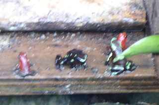 Filename=P1110798.JPG
Filesize=4450KiB
Dimensions=4000x2672
Date added=Feb 03, 2022 P1110798.JPG