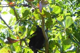 Filename=P1110953.JPG
Filesize=4687KiB
Dimensions=4000x2672
Date added=Feb 03, 2022 P1110953.JPG