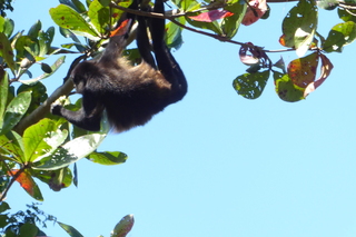 Filename=P1110954.JPG
Filesize=4423KiB
Dimensions=4000x2672
Date added=Feb 03, 2022 P1110954.JPG