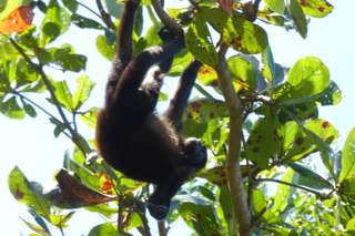 Filename=P1110956.JPG
Filesize=4362KiB
Dimensions=4000x2672
Date added=Feb 03, 2022 P1110956.JPG