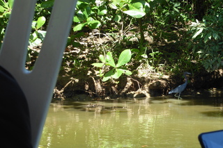 Filename=P1110957.JPG
Filesize=4653KiB
Dimensions=4000x2672
Date added=Feb 03, 2022 P1110957.JPG