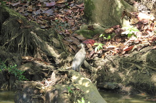 Filename=P1110958.JPG
Filesize=4377KiB
Dimensions=4000x2672
Date added=Feb 03, 2022 P1110958.JPG