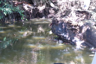 Filename=P1110959.JPG
Filesize=4751KiB
Dimensions=4000x2672
Date added=Feb 03, 2022 P1110959.JPG