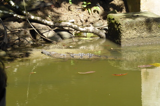 Filename=P1110960.JPG
Filesize=4431KiB
Dimensions=4000x2672
Date added=Feb 03, 2022 P1110960.JPG