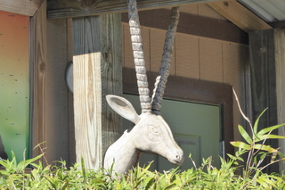 Filename=P1110982.JPG
Filesize=4547KiB
Dimensions=4000x2672
Date added=Feb 03, 2022 P1110982.JPG