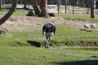 Filename=P1110986.JPG
Filesize=4398KiB
Dimensions=4000x2672
Date added=Feb 03, 2022 P1110986.JPG