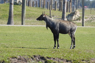 Filename=P1110989.JPG
Filesize=4325KiB
Dimensions=4000x2672
Date added=Feb 03, 2022 P1110989.JPG