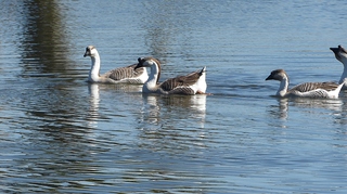 Filename=P1110993.JPG
Filesize=4034KiB
Dimensions=4000x2248
Date added=Feb 03, 2022 P1110993.JPG