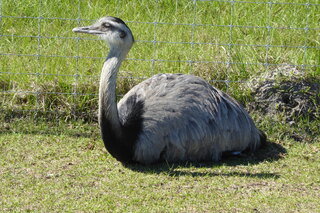 Filename=P1110999.JPG
Filesize=4576KiB
Dimensions=4000x2672
Date added=Feb 03, 2022 P1110999.JPG