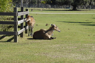 Filename=P1120001.JPG
Filesize=4404KiB
Dimensions=4000x2672
Date added=Feb 03, 2022 P1120001.JPG