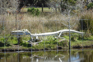 Filename=P1120003.JPG
Filesize=4488KiB
Dimensions=4000x2672
Date added=Feb 03, 2022 P1120003.JPG