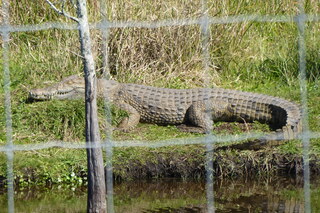 Filename=P1120005.JPG
Filesize=4364KiB
Dimensions=4000x2672
Date added=Feb 03, 2022 P1120005.JPG