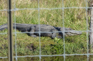 Filename=P1120008.JPG
Filesize=4447KiB
Dimensions=4000x2672
Date added=Feb 03, 2022 P1120008.JPG