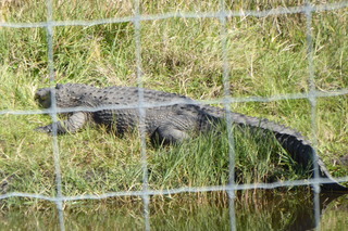 Filename=P1120009.JPG
Filesize=4441KiB
Dimensions=4000x2672
Date added=Feb 03, 2022 P1120009.JPG